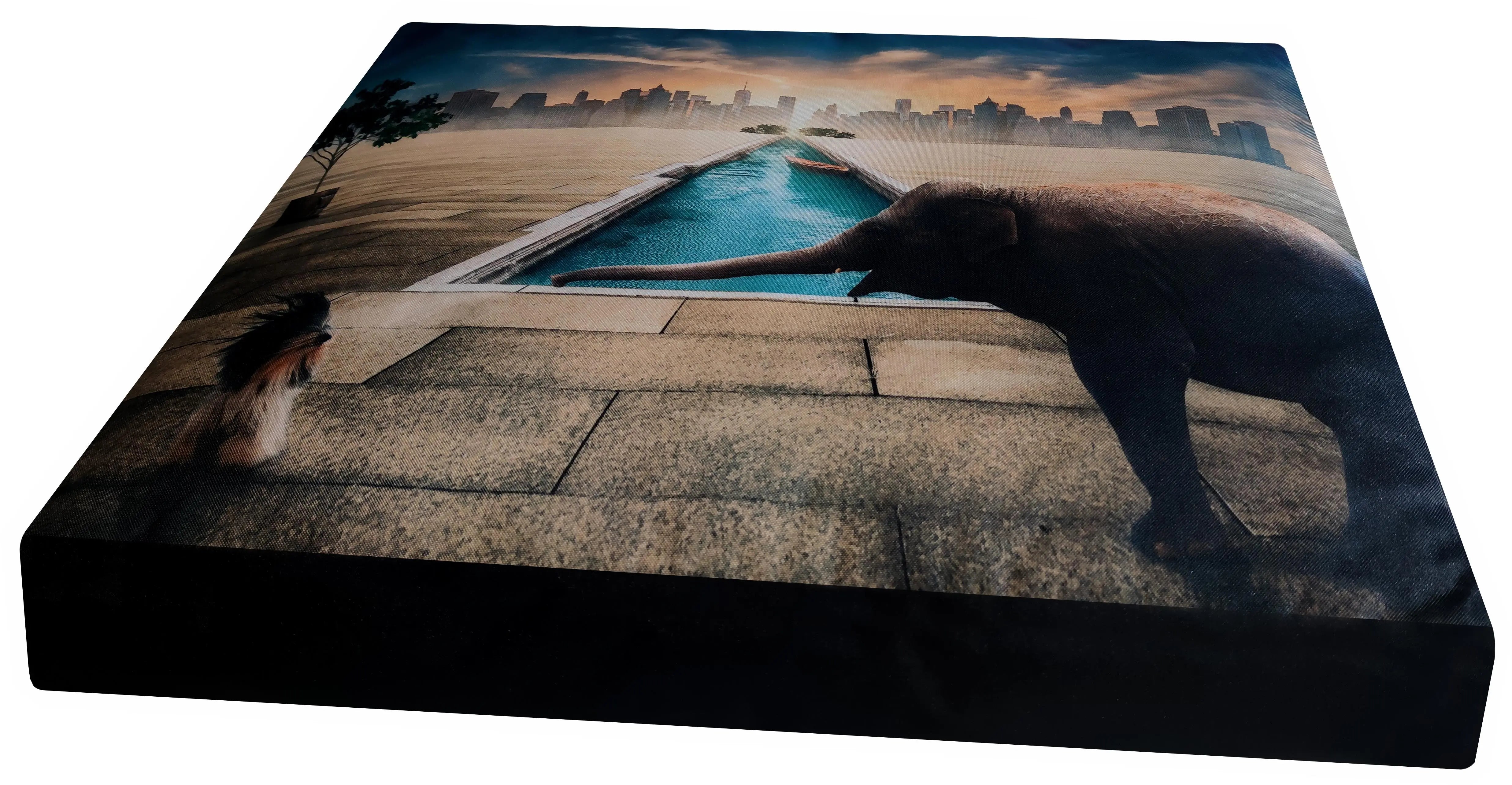 COLCHON NYLON IMPERMEABLE MODELO FOTO 70X110X15CM GAMARQ