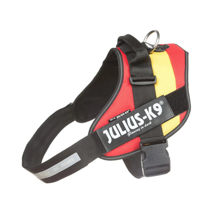 ARNES IDC JULIUS-K9 BABY 1 ESPAÑA 29-36cm.