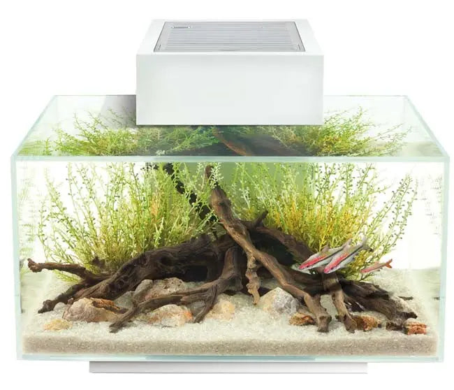 FLUVAL EDGE LED 2.0 23 litros Blanco