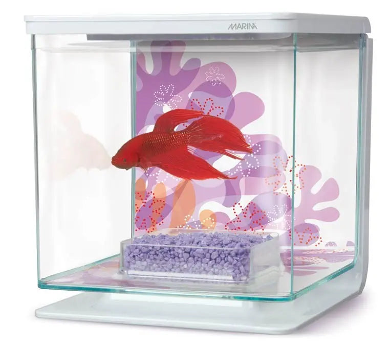 MARINA BETTA KIT - Flower