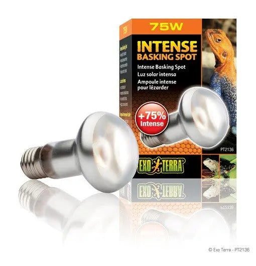 EXO TERRA SUN GLO FOCO DIRECTO  75 W