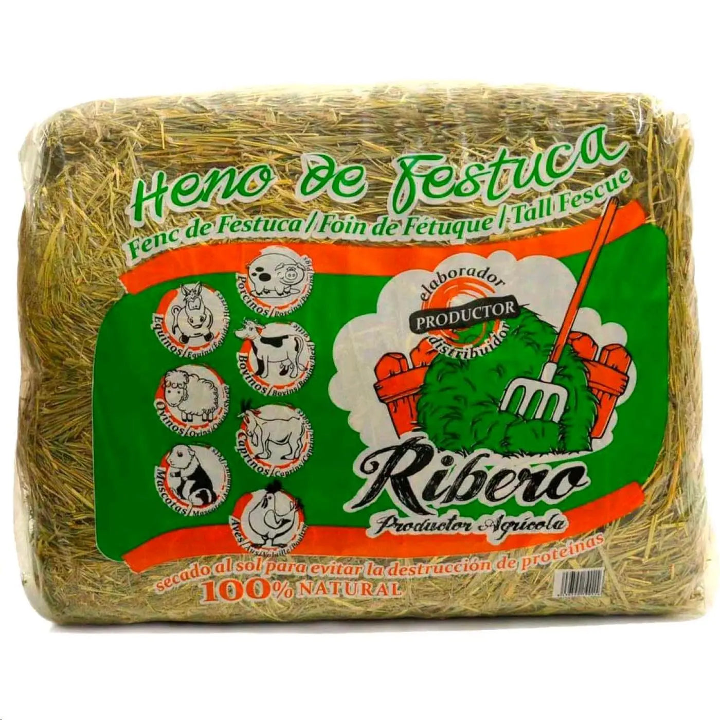 HENO DE FESTUCA RIBERO 5 KG.