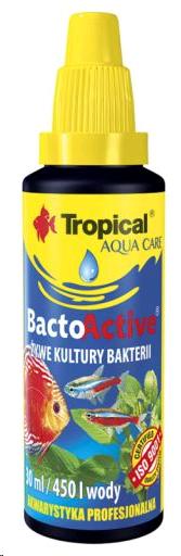 BACTO-ACTIVE LIVE BACTERIA