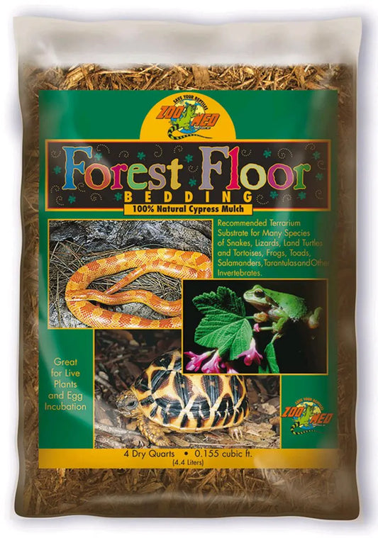Mantillo de cipres Forest Floor