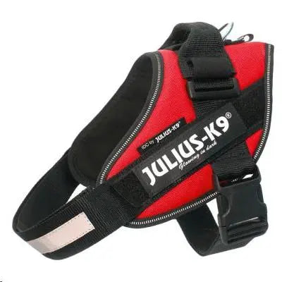 ARNES IDC JULIUS-K9 MINI ROJO 49-67cm.