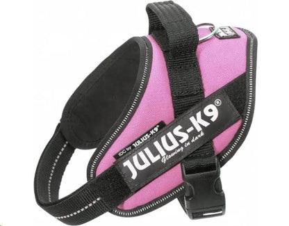 ARNES IDC JULIUS-K9 MINI ROSA 49-67cm.