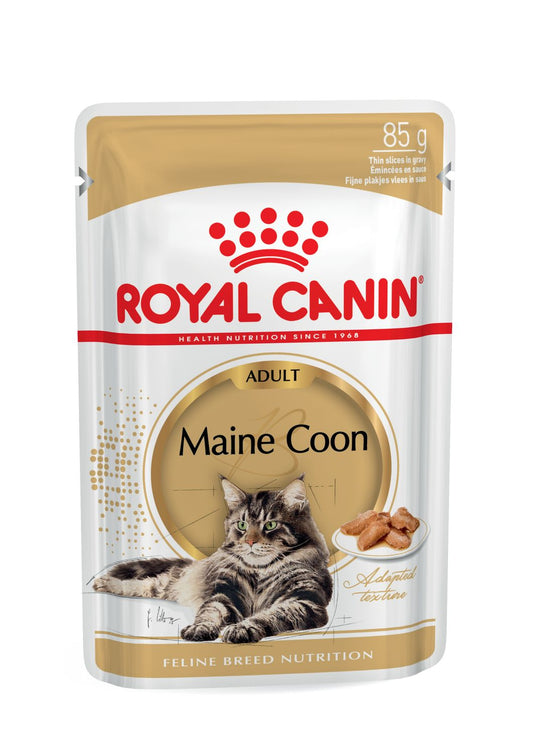 ROYAL CANIN MAINE COON WET 85GR HUMEDO FHN