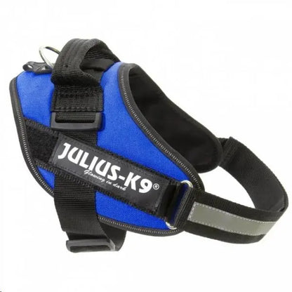 ARNES IDC JULIUS-K9 BABY 2 AZUL 33-45cm.