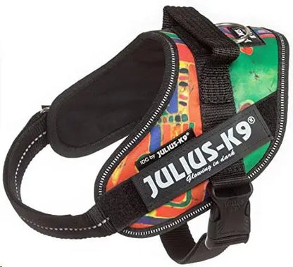 ARNES IDC JULIUS-K9 0 REGGAE CANIS  58-76cm.