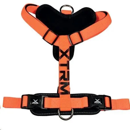 ARNES X-TRM CRONOS NEON FLASH NARANJA 15MMX35-60CM