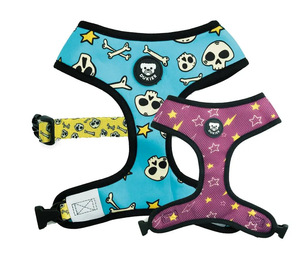 DUKIER ARNÉS REVERSIBLE SKULLS L