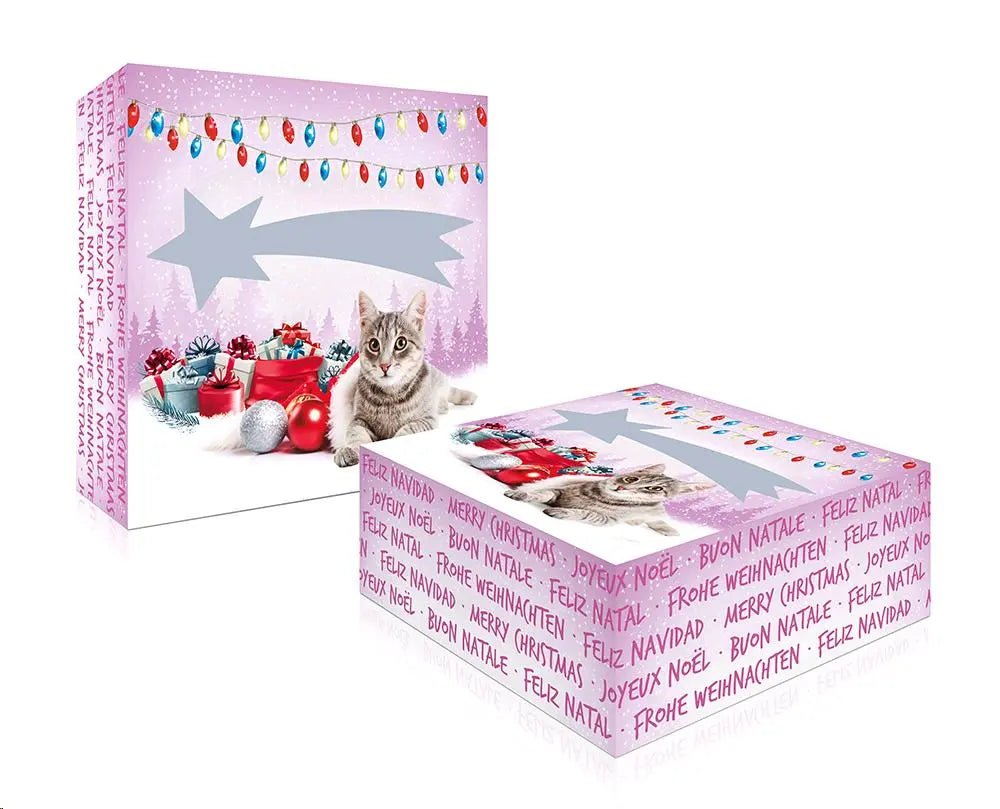 CAJA REGALO NAVIDAD PARA GATOS
