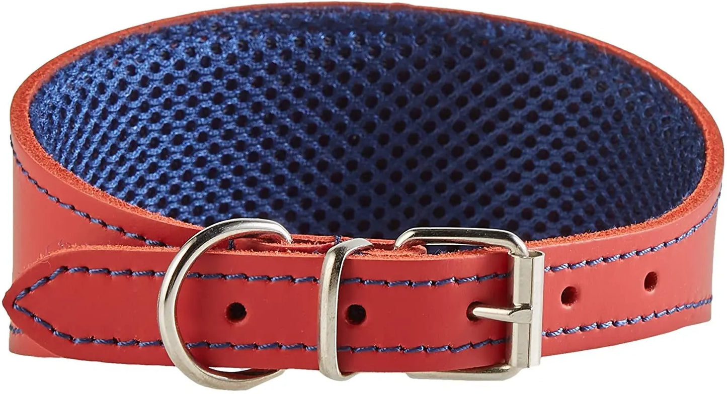 COLLAR CUERO GALGO 3D AMAZONE 35X4.5CM ROJO/AZUL ARPPE