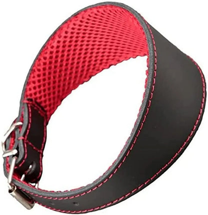 COLLAR CUERO GALGO 3D AMAZONE 45X6CM NEGRO/ROJO ARPPE