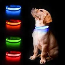 COLLAR LED S AZUL CON BATERIA Freedog