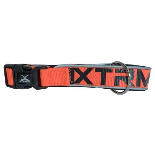 COLLAR X-TRM NEON FLASH NARANJA 15mm x 28-35cm