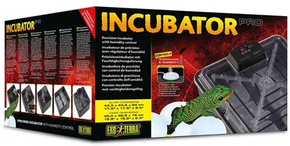 Exo Terra Box de Incubación