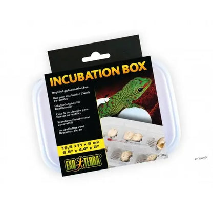 Exo Terra Box de Incubación