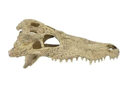 EXO TERRA CROCODILE SKULL