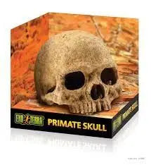 EXO TERRA PRIMATE SKULL