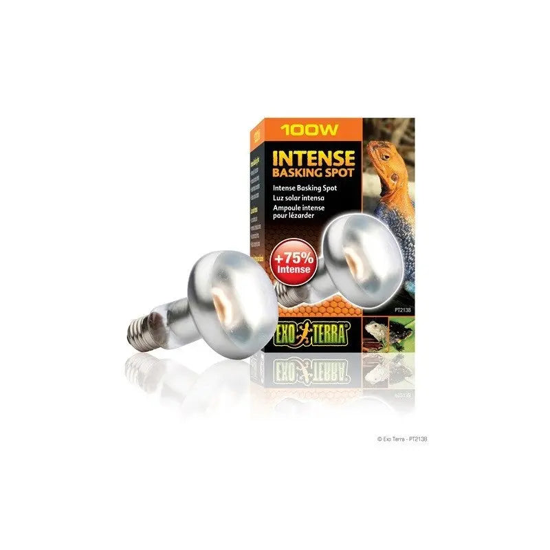 EXO TERRA SUN GLO FOCO DIRECTO  150 W