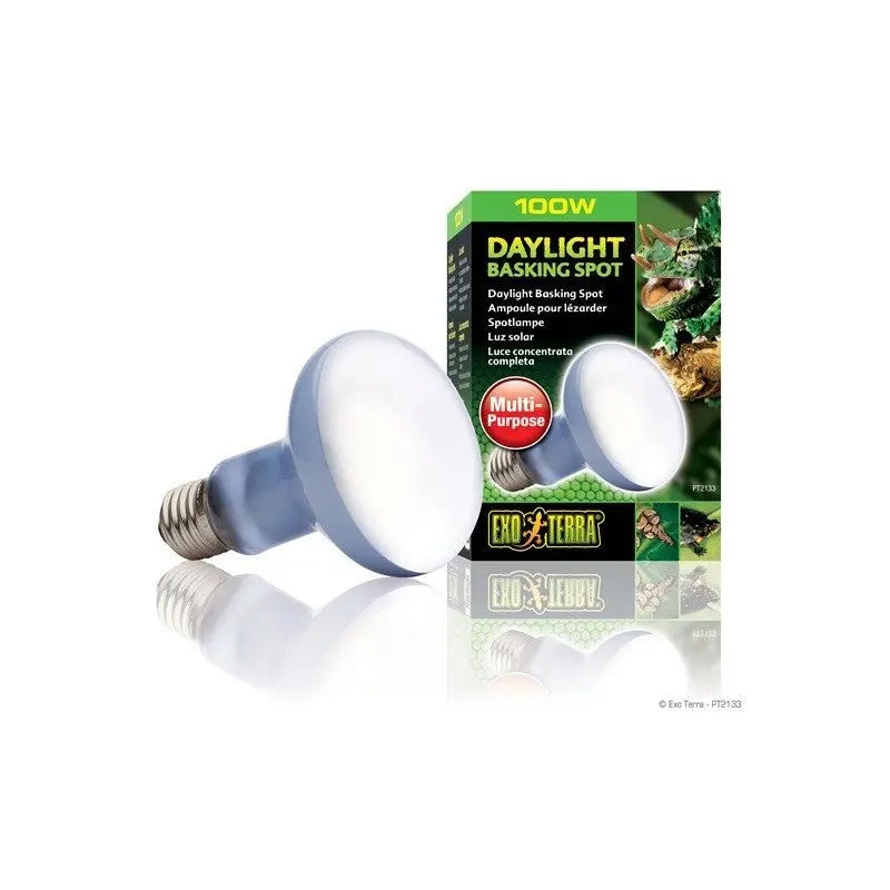 EXO TERRA SUN GLO LµMPARA FOCAL  100 W