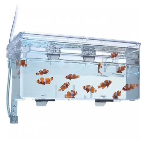 Fluval Breeding Box Gde 2 lts