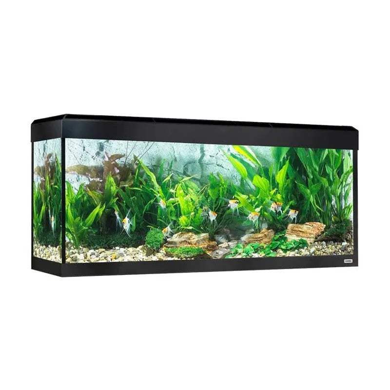Fluval Roma Acuario 240 l Led Bluetooth Negro