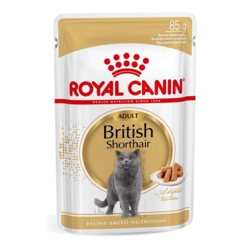 ROYAL CANIN BRITISH SHORTHAIR WET 85GR HUMEDO FHN