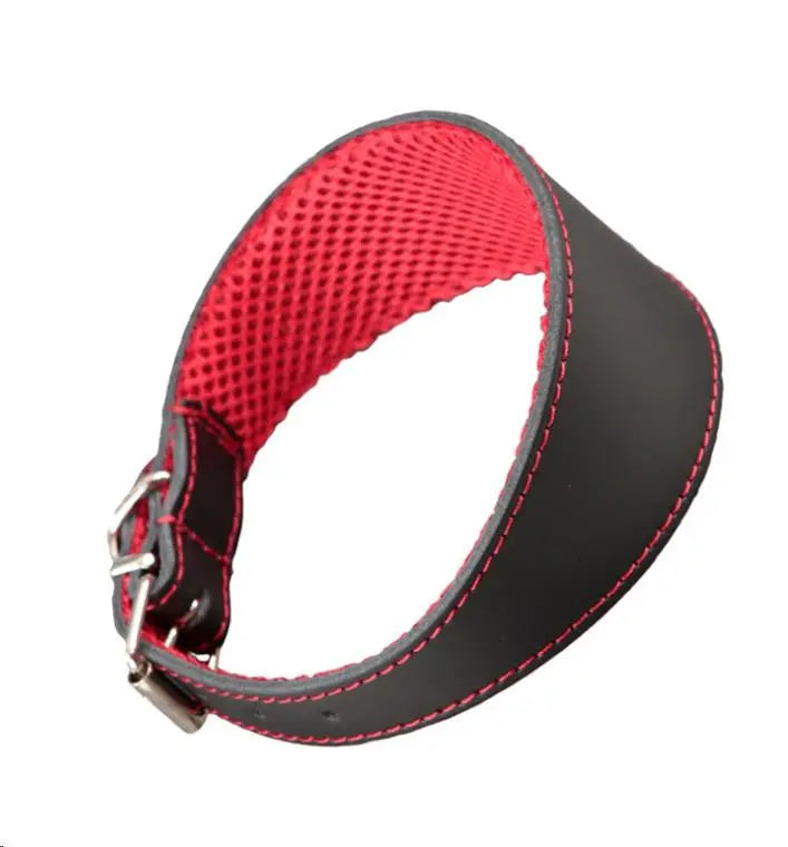 COLLAR CUERO GALGO 3D AMAZONE 45X6CM NEGRO/ROJO ARPPE