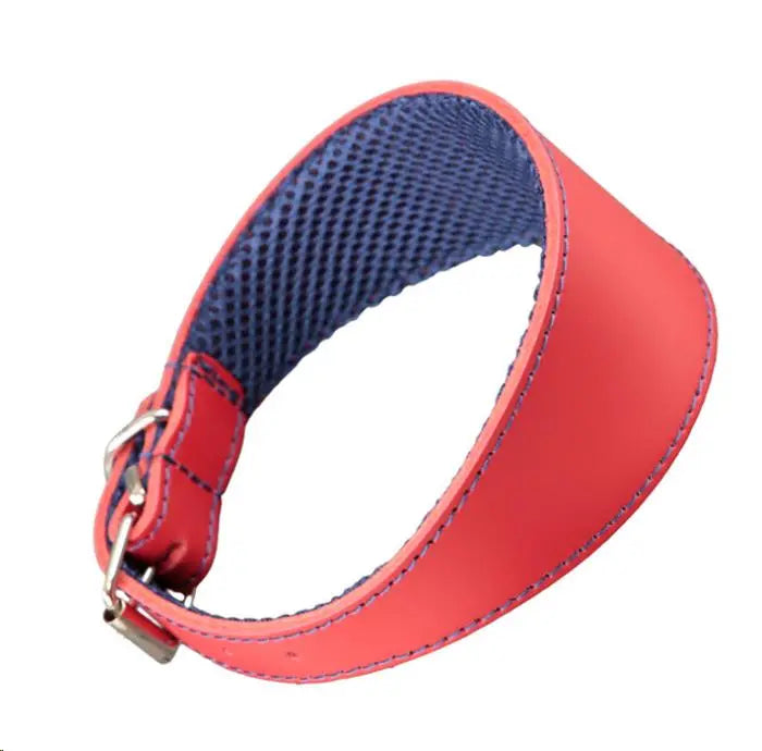 COLLAR CUERO GALGO 3D AMAZONE 55X6CM ROJO AZUL ARPPE