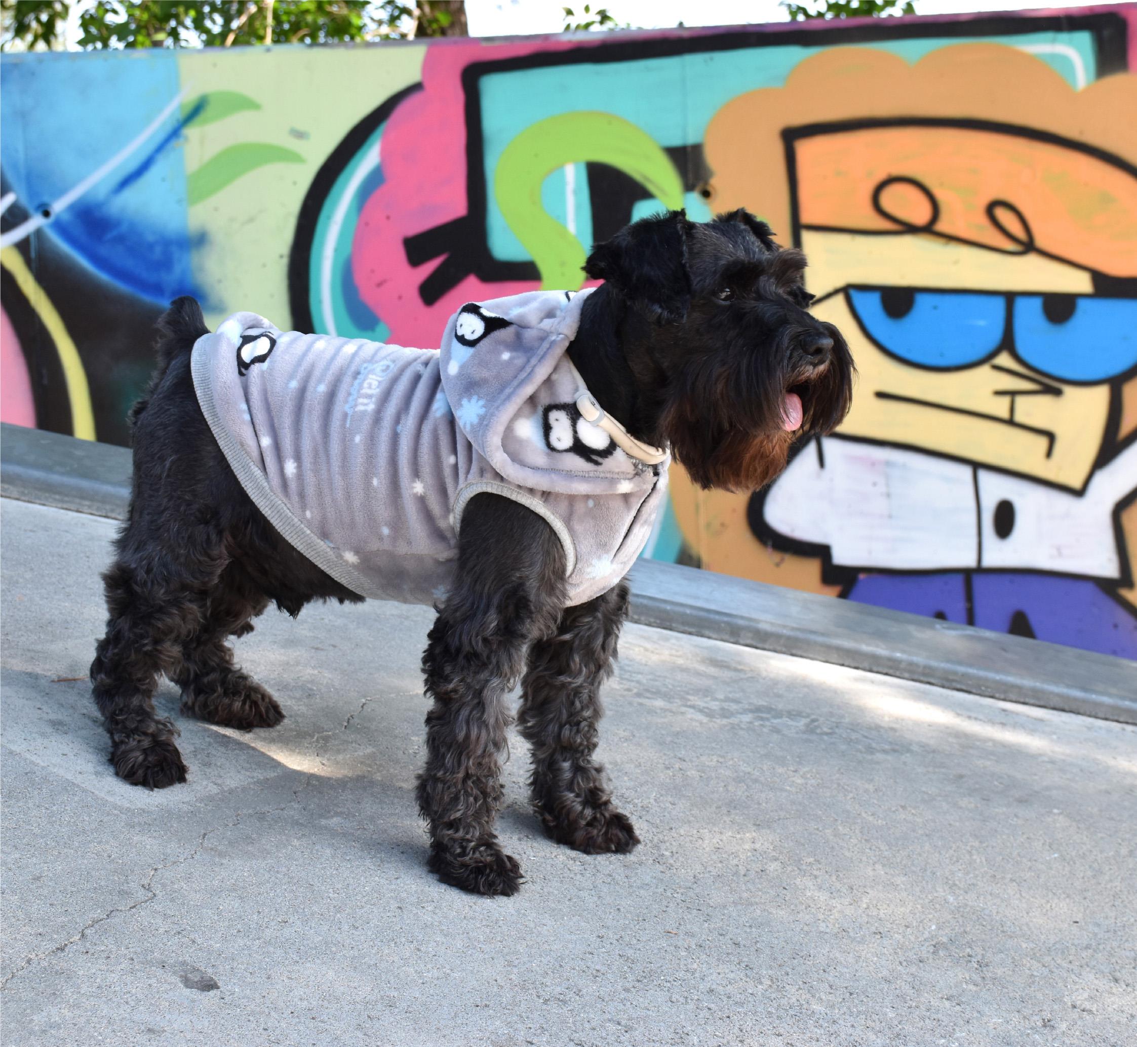 SUDADERA CON CAPUCHA PENGUIN Todoanimal.es