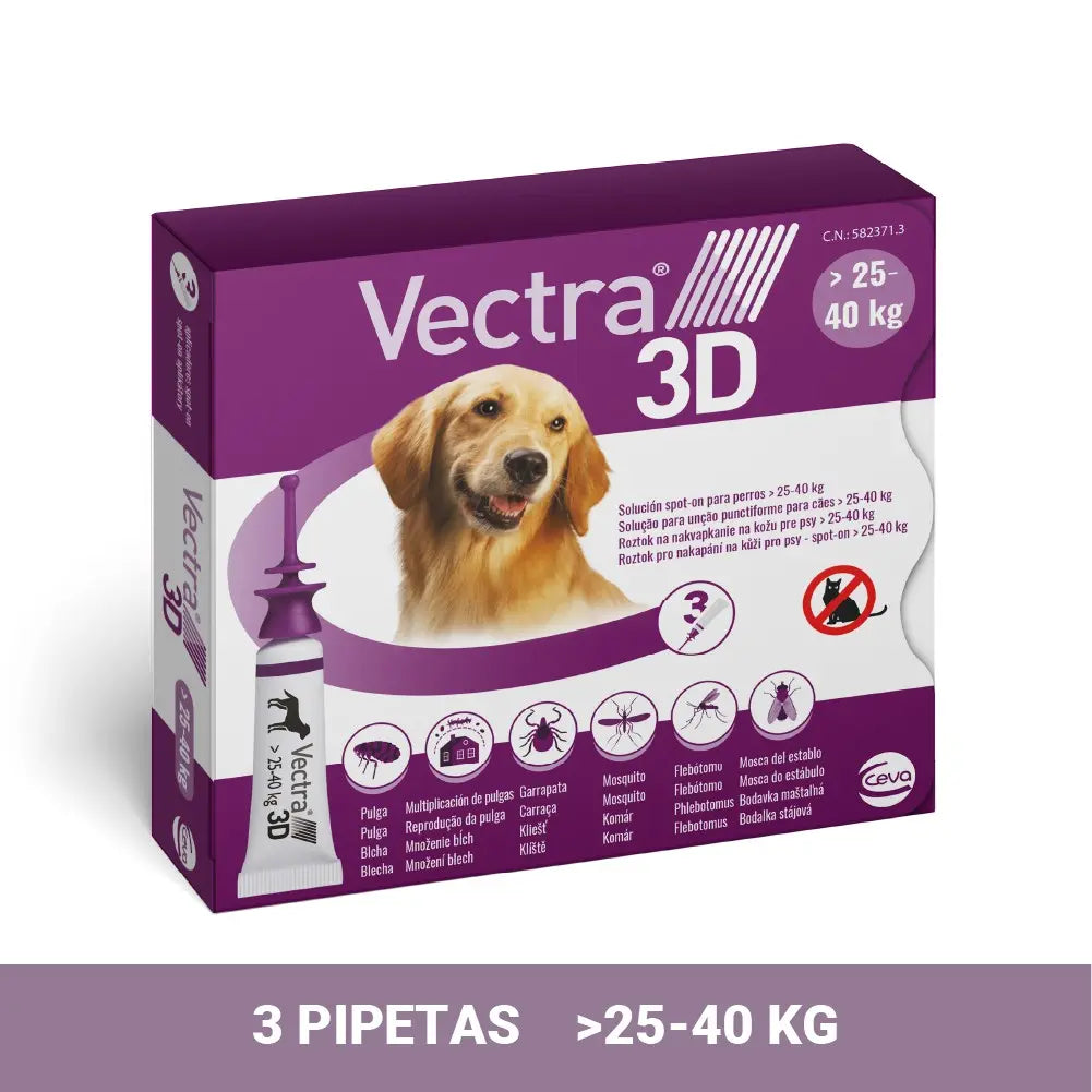 VECTRA 3D PERRO