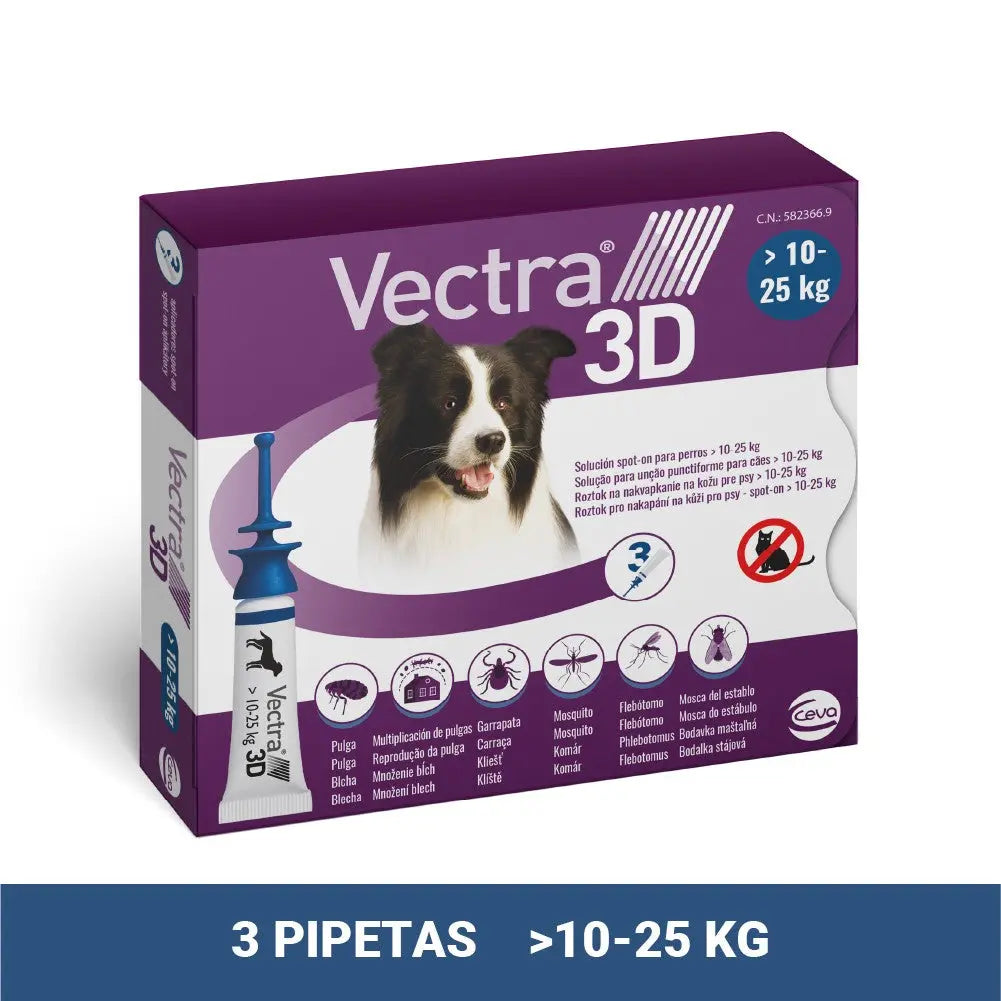 VECTRA 3D PERRO