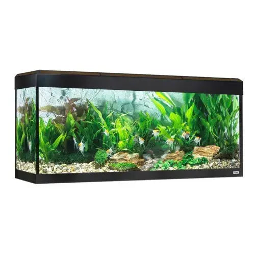 Fluval Roma Acuario 240 l Led Bluetooth Nogal